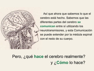 Así que ahora que sabemos lo que el
cerebro está hecho. Sabemos que las
diferentes partes del cerebro se
comunican entre sí utilizando los
neurotransmisores, y esta Comunicación
se puede extender por la médula espinal
con el resto de su cuerpo.
Pero, ¿qué hace el cerebro realmente?
y ¿Cómo lo hace?
 