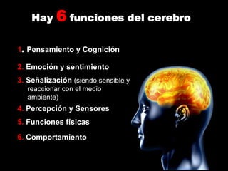 Hay 6 funciones del cerebro
2. Emoción y sentimiento
3. Señalización (siendo sensible y
reaccionar con el medio
ambiente)
4. Percepción y Sensores
5. Funciones físicas
6. Comportamiento
1. Pensamiento y Cognición
 