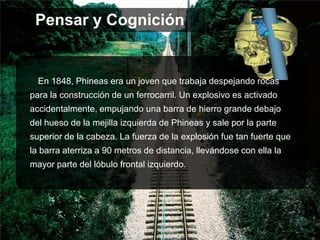 En 1848, Phineas era un joven que trabaja despejando rocas
para la construcción de un ferrocarril. Un explosivo es activado
accidentalmente, empujando una barra de hierro grande debajo
del hueso de la mejilla izquierda de Phineas y sale por la parte
superior de la cabeza. La fuerza de la explosión fue tan fuerte que
la barra aterriza a 90 metros de distancia, llevándose con ella la
mayor parte del lóbulo frontal izquierdo.
Pensar y Cognición
 