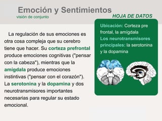 HOJA DE DATOS
Ubicación: Corteza pre
frontal, la amígdala
Los neurotransmisores
principales: la serotonina
y la dopamina
La regulación de sus emociones es
otra cosa compleja que su cerebro
tiene que hacer. Su corteza prefrontal
produce emociones cognitivas ("pensar
con la cabeza"), mientras que la
amígdala produce emociones
instintivas ("pensar con el corazón").
La serotonina y la dopamina y dos
neurotransmisores importantes
necesarias para regular su estado
emocional.
Emoción y Sentimientos
visión de conjunto
 