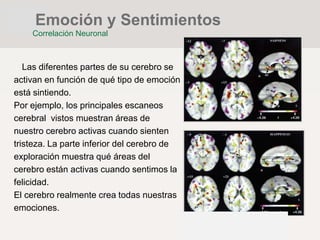 Las diferentes partes de su cerebro se
activan en función de qué tipo de emoción
está sintiendo.
Por ejemplo, los principales escaneos
cerebral vistos muestran áreas de
nuestro cerebro activas cuando sienten
tristeza. La parte inferior del cerebro de
exploración muestra qué áreas del
cerebro están activas cuando sentimos la
felicidad.
El cerebro realmente crea todas nuestras
emociones.
Emoción y Sentimientos
Correlación Neuronal
 