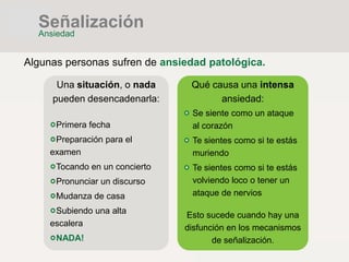 Algunas personas sufren de ansiedad patológica.
Una situación, o nada
pueden desencadenarla:
Primera fecha
Preparación para el
examen
Tocando en un concierto
Pronunciar un discurso
Mudanza de casa
Subiendo una alta
escalera
NADA!
Qué causa una intensa
ansiedad:
Se siente como un ataque
al corazón
Te sientes como si te estás
muriendo
Te sientes como si te estás
volviendo loco o tener un
ataque de nervios
Esto sucede cuando hay una
disfunción en los mecanismos
de señalización.
Señalización
Ansiedad
 