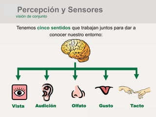 Tenemos cinco sentidos que trabajan juntos para dar a
conocer nuestro entorno:
Vista Audición Olfato Gusto Tacto
Percepción y Sensores
visión de conjunto
 