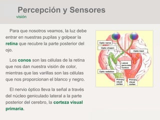 Para que nosotros veamos, la luz debe
entrar en nuestras pupilas y golpear la
retina que recubre la parte posterior del
ojo.
Los conos son las células de la retina
que nos dan nuestra visión de color,
mientras que las varillas son las células
que nos proporcionan el blanco y negro.
El nervio óptico lleva la señal a través
del núcleo geniculado lateral a la parte
posterior del cerebro, la corteza visual
primaria.
Percepción y Sensores
visión
 