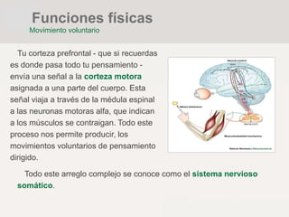 Tu corteza prefrontal - que si recuerdas
es donde pasa todo tu pensamiento -
envía una señal a la corteza motora
asignada a una parte del cuerpo. Esta
señal viaja a través de la médula espinal
a las neuronas motoras alfa, que indican
a los músculos se contraigan. Todo este
proceso nos permite producir, los
movimientos voluntarios de pensamiento
dirigido.
Todo este arreglo complejo se conoce como el sistema nervioso
somático.
Funciones físicas
Movimiento voluntario
 
