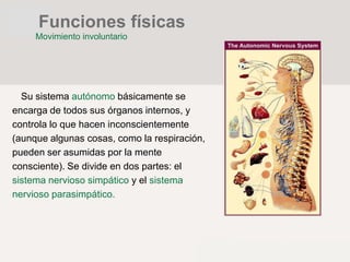 Su sistema autónomo básicamente se
encarga de todos sus órganos internos, y
controla lo que hacen inconscientemente
(aunque algunas cosas, como la respiración,
pueden ser asumidas por la mente
consciente). Se divide en dos partes: el
sistema nervioso simpático y el sistema
nervioso parasimpático.
Funciones físicas
Movimiento involuntario
 