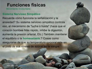 Funciones físicas
Movimiento involuntario
Sistema Nervioso Simpático
Recuerde cómo funciona la señalización y la
ansiedad? Su sistema nervioso simpático controla
eso, el mecanismo de "lucha o huida" (hace que el
corazón bombee Más rápido, inhibe la digestión,
aumenta la presión arterial, Etc.) También mantiene
el equilibrio o la homeostasis.? Cosas como
asegurarse de que su temperatura corporal este en
el justo de sus niveles de azúcar en la sangre.
Photo credit (CC 2.0): Mark Robinson
 
