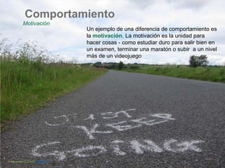 Comportamiento
Motivación
Un ejemplo de una diferencia de comportamiento es
la motivación. La motivación es la unidad para
hacer cosas - como estudiar duro para salir bien en
un examen, terminar una maratón o subir a un nivel
más de un videojuego
Photo credit (CC 2.0): shirokazin
 