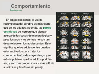 En los adolescentes, la vía de
recompensa del cerebro es más fuerte
que en los adultos. Además, las partes
cognitivas del cerebro que piensan
acerca de las cosas de manera lógica y
pesa los pros y los contras no son tan
desarrollado en los adolescentes. Esto
significa que los adolescentes pueden
estar motivados para tratar los
comportamientos de mayor riesgo y ser
más impulsivos que los adultos podrían
ser, y son más propensos a ir más allá de
sus límites y fronteras sin pesaje
Comportamiento
Motivación
 