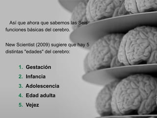 Así que ahora que sabemos las Seis
funciones básicas del cerebro.
New Scientist (2009) sugiere que hay 5
distintas "edades" del cerebro:
1. Gestación
2. Infancia
3. Adolescencia
4. Edad adulta
5. Vejez
 