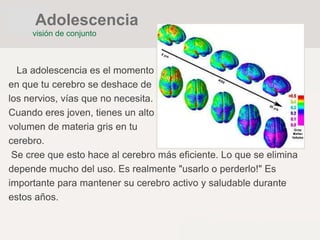 La adolescencia es el momento
en que tu cerebro se deshace de
los nervios, vías que no necesita.
Cuando eres joven, tienes un alto
volumen de materia gris en tu
cerebro.
Se cree que esto hace al cerebro más eficiente. Lo que se elimina
depende mucho del uso. Es realmente "usarlo o perderlo!" Es
importante para mantener su cerebro activo y saludable durante
estos años.
visión de conjunto
Adolescencia
 