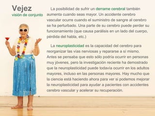 Vejez
visión de conjunto
La posibilidad de sufrir un derrame cerebral también
aumenta cuando seas mayor. Un accidente cerebro
vascular ocurre cuando el suministro de sangre al cerebro
se ha perturbado. Una parte de su cerebro puede perder su
funcionamiento (que causa parálisis en un lado del cuerpo,
pérdida del habla, etc.)
La neuroplasticidad es la capacidad del cerebro para
reorganizar las vías nerviosas y repararse a sí mismo.
Antes se pensaba que esto sólo podría ocurrir en personas
muy jóvenes, pero la investigación reciente ha demostrado
que la neuroplasticidad puede todavía ocurrir en los adultos
mayores, incluso en las personas mayores. Hay mucho que
la ciencia está haciendo ahora para ver si podemos mejorar
la neuroplasticidad para ayudar a pacientes con accidentes
cerebro vascular y acelerar su recuperación.
 