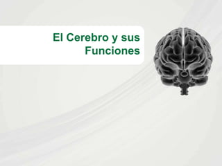 El Cerebro y sus
Funciones
 