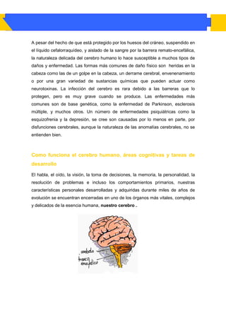 A pesar del hecho de que está protegido por los huesos del cráneo, suspendido en
el líquido cefalorraquídeo, y aislado de la sangre por la barrera remato-encefálica,
la naturaleza delicada del cerebro humano lo hace susceptible a muchos tipos de
daños y enfermedad. Las formas más comunes de daño físico son heridas en la
cabeza como las de un golpe en la cabeza, un derrame cerebral, envenenamiento
o por una gran variedad de sustancias químicas que pueden actuar como
neurotoxinas. La infección del cerebro es rara debido a las barreras que lo
protegen, pero es muy grave cuando se produce. Las enfermedades más
comunes son de base genética, como la enfermedad de Parkinson, esclerosis
múltiple, y muchos otros. Un número de enfermedades psiquiátricas como la
esquizofrenia y la depresión, se cree son causadas por lo menos en parte, por
disfunciones cerebrales, aunque la naturaleza de las anomalías cerebrales, no se
entienden bien.



Como funciona el cerebro humano, áreas cognitivas y tareas de
desarrollo

El habla, el oído, la visión, la toma de decisiones, la memoria, la personalidad, la
resolución de problemas e incluso los comportamientos primarios, nuestras
características personales desarrolladas y adquiridas durante miles de años de
evolución se encuentran encerradas en uno de los órganos más vitales, complejos
y delicados de la esencia humana, nuestro cerebro .
 