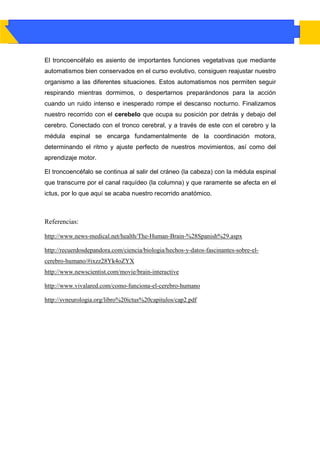 El troncoencéfalo es asiento de importantes funciones vegetativas que mediante
automatismos bien conservados en el curso evolutivo, consiguen reajustar nuestro
organismo a las diferentes situaciones. Estos automatismos nos permiten seguir
respirando mientras dormimos, o despertarnos preparándonos para la acción
cuando un ruido intenso e inesperado rompe el descanso nocturno. Finalizamos
nuestro recorrido con el cerebelo que ocupa su posición por detrás y debajo del
cerebro. Conectado con el tronco cerebral, y a través de este con el cerebro y la
médula espinal se encarga fundamentalmente de la coordinación motora,
determinando el ritmo y ajuste perfecto de nuestros movimientos, así como del
aprendizaje motor.

El troncoencéfalo se continua al salir del cráneo (la cabeza) con la médula espinal
que transcurre por el canal raquídeo (la columna) y que raramente se afecta en el
ictus, por lo que aquí se acaba nuestro recorrido anatómico.



Referencias:

http://www.news-medical.net/health/The-Human-Brain-%28Spanish%29.aspx

http://recuerdosdepandora.com/ciencia/biologia/hechos-y-datos-fascinantes-sobre-el-
cerebro-humano/#ixzz28Yk4oZYX
http://www.newscientist.com/movie/brain-interactive

http://www.vivalared.com/como-funciona-el-cerebro-humano

http://svneurologia.org/libro%20ictus%20capitulos/cap2.pdf
 