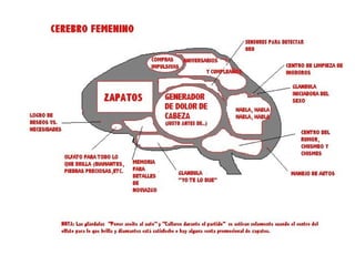 El cerebro humano