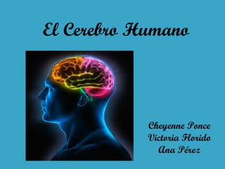 El Cerebro Humano

Cheyenne Ponce
Victoria Florido
Ana Pérez

 