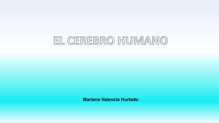 Mariana Valencia Hurtado
 