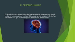 EL CEREBRO HUMANO
El cerebro humano es el órgano central del sistema nervioso central y el
centro de comandos mas perfecto del mundo ya que concentra todas las
actividades. Se que el cerebro posee mas de cien mil neuronas.
 
