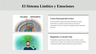 Explorando el Cerebro Humano: Anatomía, Funciones y Emociones | PDF