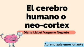 El cerebro
humano o
neo-cortex
Diana Lizbet Vaquero Negrete
Aprendizaje emocionante
 