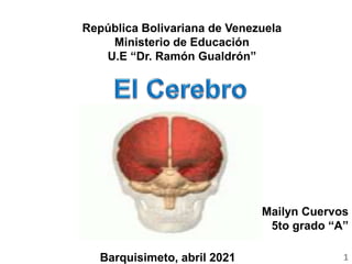 República Bolivariana de Venezuela
Ministerio de Educación
U.E “Dr. Ramón Gualdrón”
Mailyn Cuervos
5to grado “A”
Barquisimeto, abril 2021 1
 
