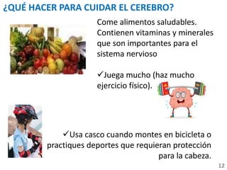 Come alimentos saludables.
Contienen vitaminas y minerales
que son importantes para el
sistema nervioso
Juega mucho (haz mucho
ejercicio físico).
12
¿QUÉ HACER PARA CUIDAR EL CEREBRO?
Usa casco cuando montes en bicicleta o
practiques deportes que requieran protección
para la cabeza.
 