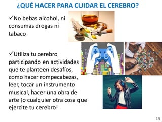 Utiliza tu cerebro
participando en actividades
que te planteen desafíos,
como hacer rompecabezas,
leer, tocar un instrumento
musical, hacer una obra de
arte ¡o cualquier otra cosa que
ejercite tu cerebro!
13
¿QUÉ HACER PARA CUIDAR EL CEREBRO?
No bebas alcohol, ni
consumas drogas ni
tabaco
 
