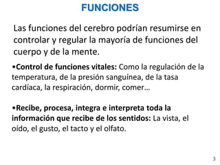 FUNCIONES
Las funciones del cerebro podrían resumirse en
controlar y regular la mayoría de funciones del
cuerpo y de la mente.
•Control de funciones vitales: Como la regulación de la
temperatura, de la presión sanguínea, de la tasa
cardíaca, la respiración, dormir, comer…
•Recibe, procesa, integra e interpreta toda la
información que recibe de los sentidos: La vista, el
oído, el gusto, el tacto y el olfato.
3
 