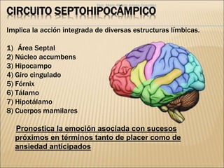CIRCUITO SEPTOHIPOCÁMPICO
Implica la acción integrada de diversas estructuras límbicas.
1) Área Septal
2) Núcleo accumbens
3) Hipocampo
4) Giro cingulado
5) Fórnix
6) Tálamo
7) Hipotálamo
8) Cuerpos mamilares
Pronostica la emoción asociada con sucesos
próximos en términos tanto de placer como de
ansiedad anticipados
Psic. Mario Alberto Arrieta González
 