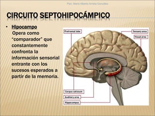 • Hipocampo
Opera como
“comparador” que
constantemente
confronta la
información sensorial
entrante con los
sucesos esperados a
partir de la memoria.
CIRCUITO SEPTOHIPOCÁMPICO
Psic. Mario Alberto Arrieta González
 