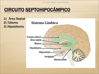 CIRCUITO SEPTOHIPOCÁMPICO
1) Área Septal
2) Tálamo
3) Hipotálamo
Psic. Mario Alberto Arrieta González
 