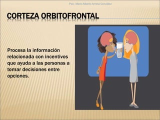 CORTEZA ORBITOFRONTAL
Procesa la información
relacionada con incentivos
que ayuda a las personas a
tomar decisiones entre
opciones.
Psic. Mario Alberto Arrieta González
 