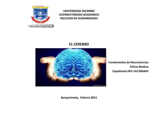 UNIVERSIDAD YACAMBÚ
VICERRECTORADO ACADEMICO
FACULTAD DE HUMANIDADES
EL CEREBRO
Fundamentos de Neurociencias
Felicia Medina
Expediente HPS-143-00444V
Barquisimeto, Febrero 2015
 