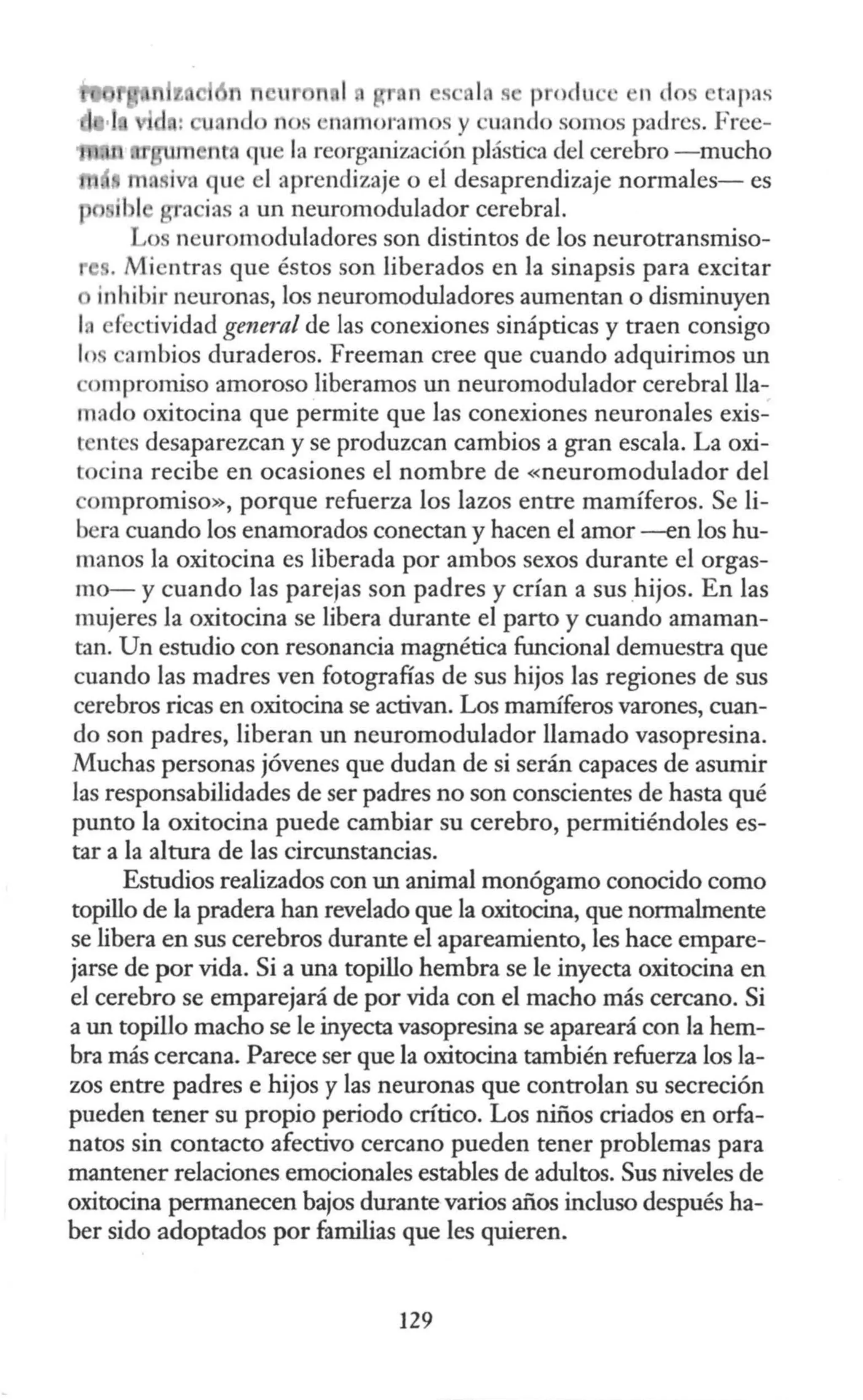 r n s · 1 s p o lu · n lo t:1p:is
1, nd nos 1 an oramo. y uando somos padres. Free-
m nt qu la reorganización plástica del cerebro - mucho
1 • iva que el aprendizaje o el desaprendizaje normales- es
il 1 ·aci::is ::1 un neuromodulador cerebral.
o neuromoduladores son distintos de los neurotransrniso-
. Mientras que éstos son liberados en la sinapsis para excitar
inhibir neuronas, los neuromoduladores aumentan o disminuyen
111 efectividad general de las conexiones sinápticas y traen consigo
1l. ambios duraderos. Freeman cree que cuando adquirimos un
·ompromiso amoroso liberamos un neuromodulador cerebral lla-
mado oxitocina que permite que las conexiones neuronales exis-
tentes desaparezcan y se produzcan cambios a gran escala. La oxi-
tocina recibe en ocasiones el nombre de «neuromodulador del
omprorniso», porque refuerza los lazos entre mamíferos. Se li-
bera cuando los enamorados conectan y hacen el amor --en los hu-
manos la oxitocina es liberada por ambos sexos durante el orgas-
mo- y cuando las parejas son padres y crían a sus hijos. En las
mujeres la oxitocina se libera durante el parto y cuando amaman-
tan. Un estudio con resonancia magnética funcional demuestra que
cuando las madres ven fotografías de sus hijos las regiones de sus
cerebros ricas en oxitocina se activan. Los manúferos varones, cuan-
do son padres, liberan un neuromodulador llamado vasopresina.
Muchas personas jóvenes que dudan de si serán capaces de asumir
las responsabilidades de ser padres no son conscientes de hasta qué
punto la oxitocina puede cambiar su cerebro, permitiéndoles es-
tar a la altura de las circunstancias.
Estudios realizados con un animal monógamo conocido como
topillo de la pradera han revelado que la oxitocina, que normalmente
se libera en sus cerebros durante el apareamiento, les hace empare-
jarse de por vida. Si a una topillo hembra se le inyecta oxitocina en
el cerebro se emparejará de por vida con el macho más cercano. Si
a un topillo macho se le inyecta vasopresina se apareará con la hem-
bra más cercana. Parece ser que la oxitocina también refuerza los la-
zos entre padres e hijos y las neuronas que controlan su secreción
pueden tener su propio periodo crítico. Los niños criados en orfa-
natos sin contacto afectivo cercano pueden tener problemas para
mantener relaciones emocionales estables de adultos. Sus niveles de
oxitocina permanecen bajos durante varios años incluso después ha-
ber sido adoptados por familias que les quieren.
129
 