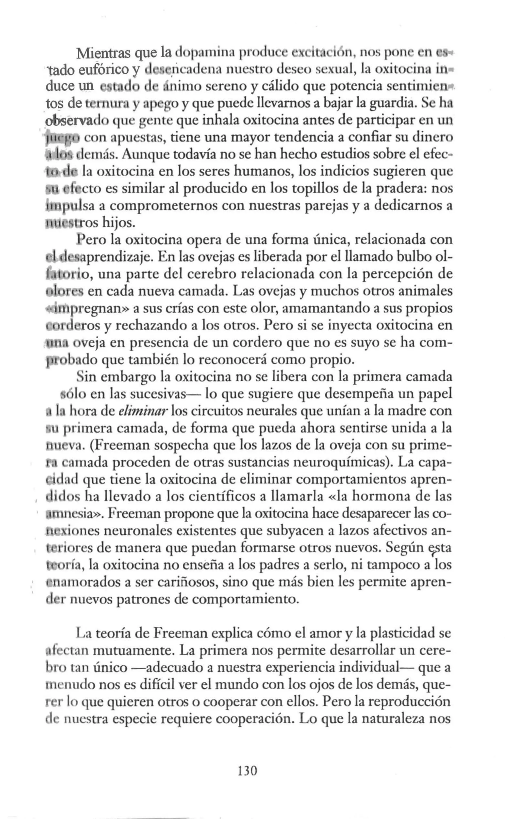 Mientras que la d pamina pr du n, n s pon n
tado eufórico y 1 · 'adena nuestro deseo sexual, la oxit inn in•
duce un t l imo sereno y cálido que potencia sentimi
tos de t • y up o y que puede llevarnos a bajar la guardia. Se h.
observad qu gente que inhala oxitocina antes de participar en m
con apuestas, tiene una mayor tendencia a confiar su diner
emás. Aunque todavía no se han hecho estudios sobre el efec·
la oxitocina en los seres humanos, los indicios sugieren que
cto es similar al producido en los topillos de la pradera: nos
p lsa a comprometernos con nuestras parejas y a dedicarnos a
t'tos hijos.
ero la oxitocina opera de una forma única, relacionada con
aprendizaje. En las ovejas es liberada por el llamado bulbo ol-
o, una parte del cerebro relacionada con la percepción de
en cada nueva camada. Las ovejas y muchos otros animales
pregnan» a sus crías con este olor, amamantando a sus propios
tY>·.-n<•.-os y rechazando a los otros. Pero si se inyecta oxitocina en
veja en presencia de un cordero que no es suyo se ha corn-
udo que también lo reconocerá como propio.
in embargo la oxitocina no se libera con la primera camada
1 en las sucesivas- lo que sugiere que desempeña un papel
h ra de eliminar los circuitos neurales que unían a la madre con
rimera camada, de forma que pueda ahora sentirse unida a la
va. (Freeman sospecha que los lazos de la oveja con su prime-
amada proceden de otras sustancias neuroquímicas). La capa-
dnd que tiene la oxitocina de eliminar comportamientos apren-
s ha llevado a los científicos a llamarla «la hormona de las
ncsia». Freeman propone que la oxitocina hace desaparecer lasco-
. nes neuronales existentes que subyacen a lazos afectivos an-
i res de manera que puedan formarse otros nuevos. Según ~ta
ría, la oxitocina no enseña a los padres a serlo, ni tampoco a los
1 nmorados a ser cariñosos, sino que más bien les permite apren-
r nuevos patrones de comportamiento.
La teoría de Freeman explica cómo el amor y la plasticidad se
tan mutuamente. La primera nos permite desarrollar un cere-
t' tan único -adecuado a nuestra experiencia individual- que a
1 ~nudo nos es difícil ver el mundo con los ojos de los demás, que-
r lo que quieren otros o cooperar con ellos. Pero la reproducción
nuestra especie requiere cooperación. Lo que la naturaleza nos
130
 