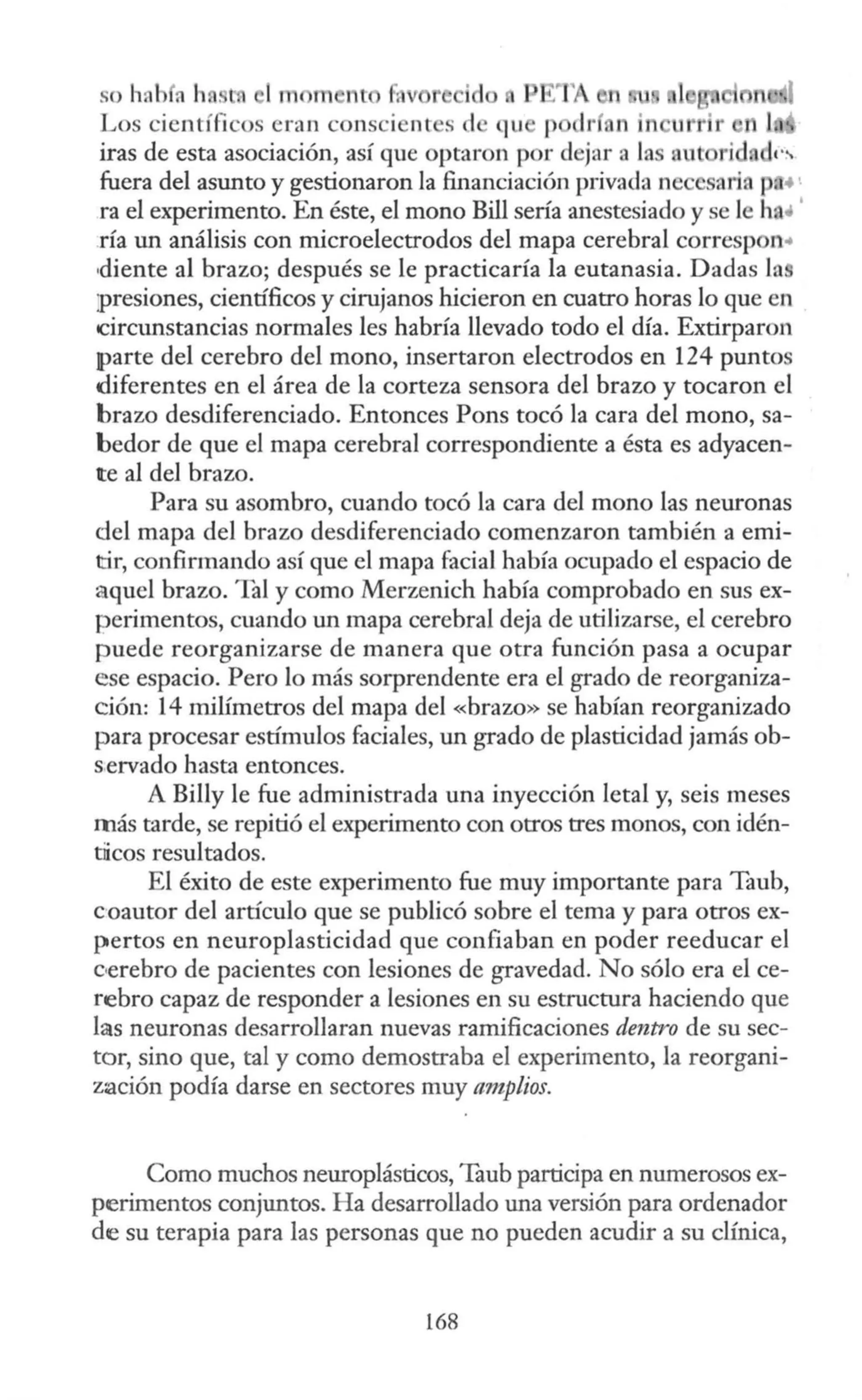 so hah a h 1m m nt fa id
Los científicos eran consci nt s d qu p dr n in
iras de esta asociación, así que optaron por dejar a la au ri
fuera del asunto y gestionaron la financiación privada ne aria p.•
ra el experimento. En éste, el mono Bill sería anestesiado y se le ha•
ría un análisis con microelectrodos del mapa cerebral corresp n•
·diente al brazo; después se le practicaría la eutanasia. Dadas la
presiones, científicos y cirujanos hicieron en cuatro horas lo que en
circunstancias normales les habría llevado todo el día. Extirparon
parte del cerebro del mono, insertaron electrodos en 124 puntos
diferentes en el área de la corteza sensora del brazo y tocaron el
brazo desdiferenciado. Entonces Pons tocó la cara del mono, sa-
bedor de que el mapa cerebral correspondiente a ésta es adyacen-
te al del brazo.
Para su asombro, cuando tocó la cara del mono las neuronas
del mapa del brazo desdiferenciado comenzaron también a emi-
tir, confirmando así que el mapa facial había ocupado el espacio de
aquel brazo. Tal y como Merzenich había comprobado en sus ex-
perimentos, cuando un mapa cerebral deja de utilizarse, el cerebro
puede reorganizarse de manera que otra función pasa a ocupar
ese espacio. Pero lo más sorprendente era el grado de reorganiza-
ción: 14 miümetros del mapa del «brazo» se habían reorganizado
para procesar estímulos faciales, un grado de plasticidad jamás ob-
s,ervado hasta entonces.
A Billy le fue administrada una inyección letal y, seis meses
más tarde, se repitió el experimento con otros tres monos, con idén-
tiicos resultados.
El éxito de este experimento fue muy importante para Taub,
coautor del artículo que se publicó sobre el tema y para otros ex-
pertos en neuroplasticidad que confiaban en poder reeducar el
eoerebro de pacientes con lesiones de gravedad. No sólo era el ce-
rebro capaz de responder a lesiones en su estructura haciendo que
las neuronas desarrollaran nuevas ramificaciones dentro de su sec-
tor, sino que, tal y como demostraba el experimento, la reorgani-
z:ación podía darse en sectores muy amplios.
Como muchos neuroplásticos, Taub participa en numerosos ex-
perimentos conjuntos. Ha desarrollado una versión para ordenador
de su terapia para las personas que no pueden acudir a su clínica,
168
 