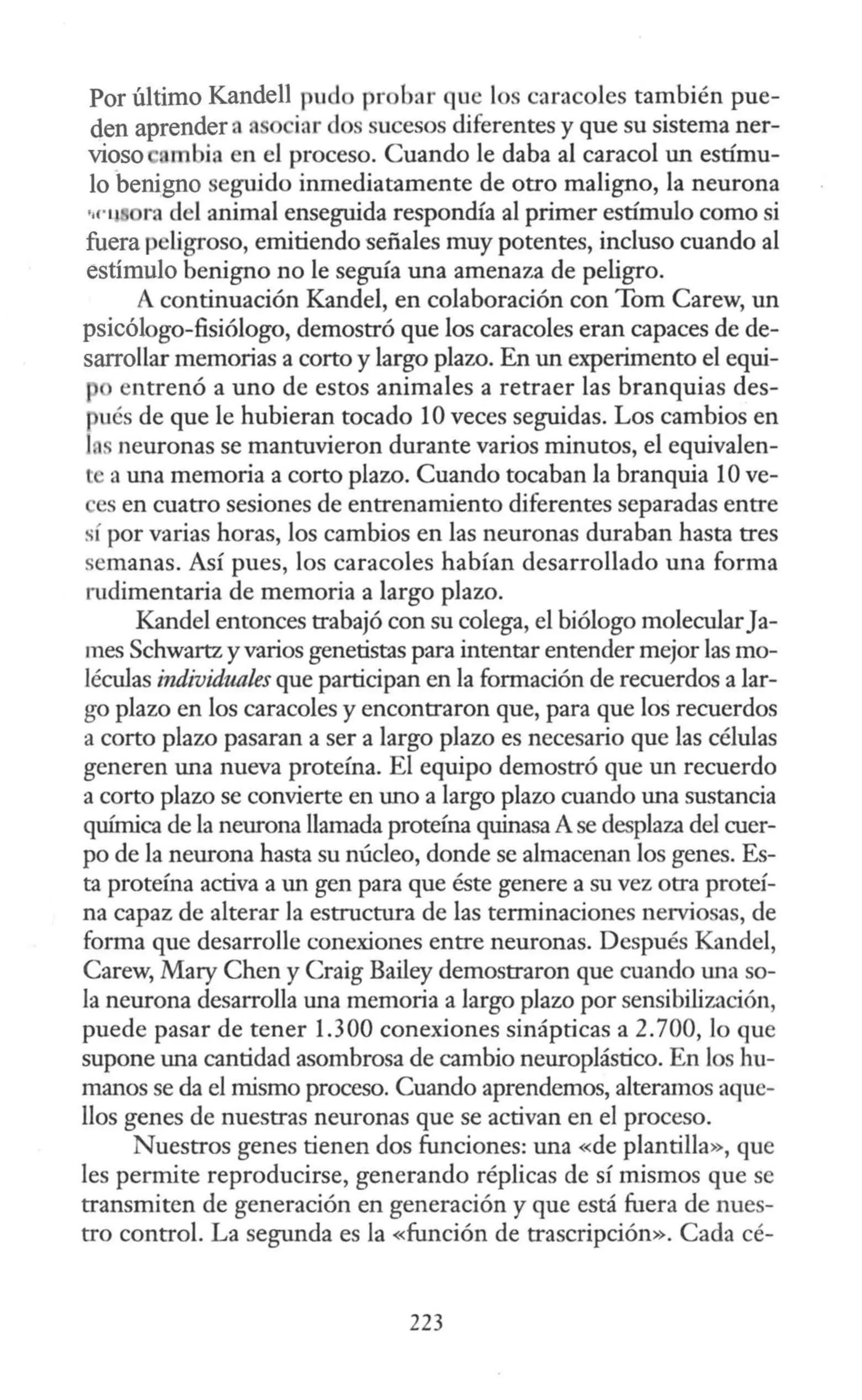 Por último Kandell pudo probar que los caracoles también pue-
den aprender a a iar dos sucesos diferentes y que su sistema ner-
vioso nmbia en el proceso. Cuando le daba al caracol un estímu-
lo benigno seguido inmediatamente de otro maligno, la neurona
•11·11 ra del animal enseguida respondía al primer estímulo como si
fuera peligroso, emitiendo señales muy potentes, incluso cuando al
estímulo benigno no le seguía una amenaza de peligro.
A continuación Kandel, en colaboración con Tom Carew, un
psicólogo-fisiólogo, demostró que los caracoles eran capaces de de-
sarrollar memorias a corto y largo plazo. En un experimento el equi-
entrenó a uno de estos animales a retraer las branquias des-
pués de que le hubieran tocado 10 veces seguidas. Los cambios en
l neuronas se mantuvieron durante varios minutos, el equivalen-
t a una memoria a corto plazo. Cuando tocaban la branquia 1Ove-
es en cuatro sesiones de entrenamiento diferentes separadas entre
sí por varias horas, los cambios en las neuronas duraban hasta tres
semanas. Así pues, los caracoles habían desarrollado una forma
rudimentaria de memoria a largo plazo.
Kandel entonces trabajó con su colega, el biólogo molecularJa-
mes Schwartz y varios genetistas para intentar entender mejor las mo-
léculas individua/es que participan en la formación de recuerdos a lar-
go plazo en los caracoles y encontraron que, para que los recuerdos
a corto plazo pasaran a ser a largo plazo es necesario que las células
generen una nueva proteína. El equipo demostró que un recuerdo
a corto plazo se convierte en uno a largo plazo cuando una sustancia
química de la neurona llamada proteína quinasa Ase desplaza del cuer-
po de la neurona hasta su núcleo, donde se almacenan los genes. Es-
ta proteína activa a un gen para que éste genere a su vez otra proteí-
na capaz de alterar la estructura de las terminaciones nerviosas, de
forma que desarrolle conexiones entre neuronas. Después Kandel,
Carew, Mary Chen y Craig Bailey demostraron que cuando una so-
la neurona desarrolla una memoria a largo plazo por sensibilización,
puede pasar de tener 1.300 conexiones sinápticas a 2.700, lo que
supone una cantidad asombrosa de cambio neuroplástico. En los hu-
manos se da el mismo proceso. Cuando aprendemos, alteramos aque-
llos genes de nuestras neuronas que se activan en el proceso.
Nuestros genes tienen dos funciones: una «de plantilla», que
les permite reproducirse, generando réplicas de sí mismos que se
transmiten de generación en generación y que está fuera de nues-
tro control. La segunda es la «función de trascripción». Cada cé-
223
 
