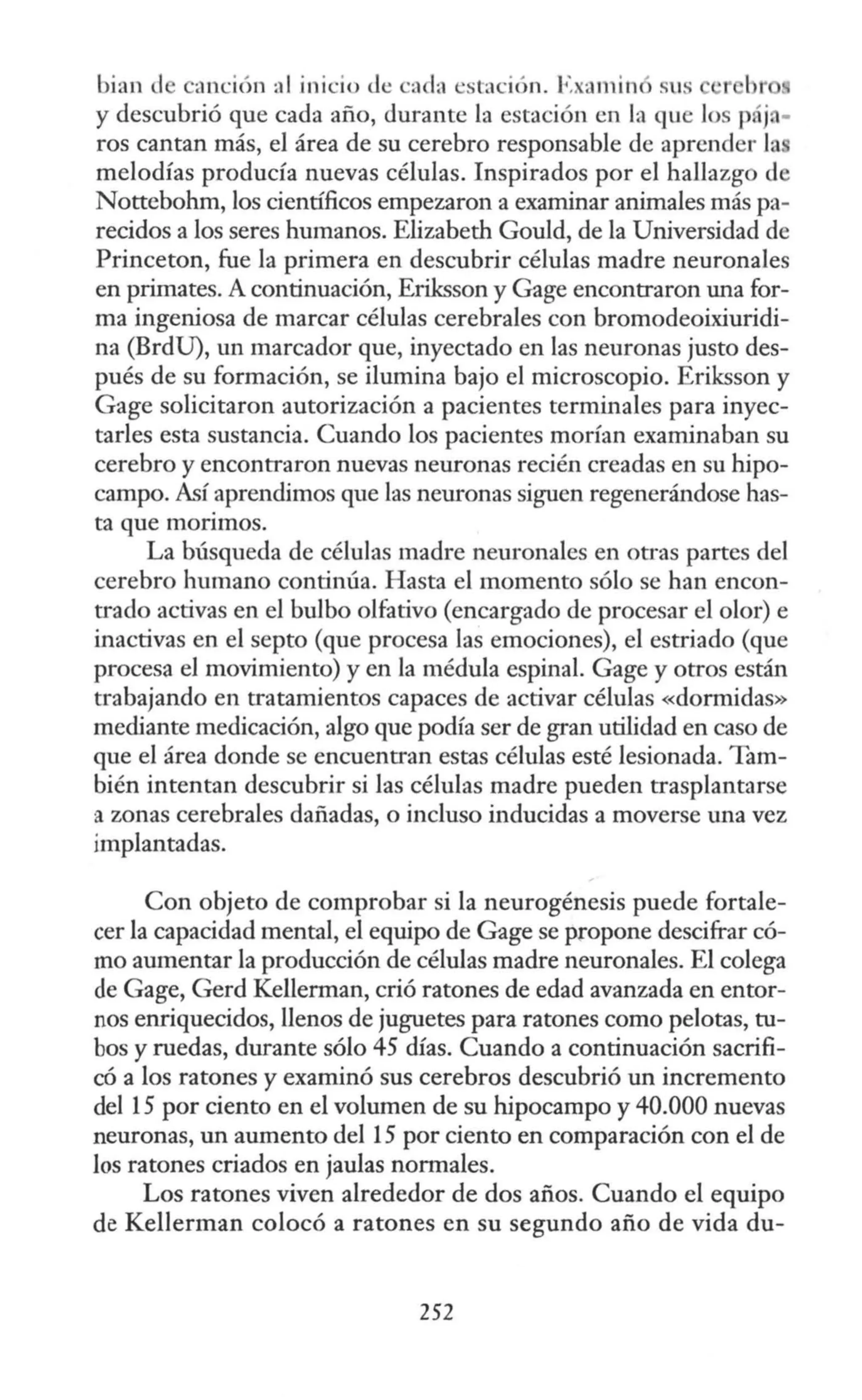 bian <l anción :1 1 inicio <le cada estación. F amin sus 'r 1r
y descubrió que cada año, durante la estación en la que los páj, -
ros cantan más, el área de su cerebro responsable de aprender la
melodías producía nuevas células. Inspirados por el hallazgo de
Nottebohm, los científicos empezaron a examinar animales más pa-
recidos a los seres humanos. Elizabeth Gould, de la Universidad de
Princeton, fue la primera en descubrir células madre neuronales
en primates. A continuación, Eriksson y Gage encontraron una for-
ma ingeniosa de marcar células cerebrales con bromodeoixiuridi-
na (BrdU), un marcador que, inyectado en las neuronas justo des-
pués de su formación, se ilumina bajo el microscopio. Eriksson y
Gage solicitaron autorización a pacientes terminales para inyec-
tarles esta sustancia. Cuando los pacientes morían examinaban su
cerebro y encontraron nuevas neuronas recién creadas en su hipo-
campo. Así aprendimos que las neuronas siguen regenerándose has-
ta que morimos.
La búsqueda de células madre nemonales en otras partes del
cerebro humano continúa. Hasta el momento sólo se han encon-
trado activas en el bulbo olfativo (encargado de procesar el olor) e
inactivas en el septo (que procesa las emociones), el estriado (que
procesa el movimiento) y en la médula espinal. Gage y otros están
trabajando en tratamientos capaces de activar células «dormidas»
mediante medicación, algo que podía ser de gran utilidad en caso de
que el área donde se encuentran estas células esté lesionada. Tam-
bién intentan descubrir si las células madre pueden trasplantarse
a zonas cerebrales dañadas, o incluso inducidas a moverse una vez
implantadas.
Con objeto de comprobar si la neurogénesis puede fortale-
cer la capacidad mental, el equipo de Gage se propone descifrar có-
mo aumentar la producción de células madre neuronales. El colega
de Gage, Gerd Kellerman, crió ratones de edad avanzada en entor-
nos enriquecidos, llenos de juguetes para ratones como pelotas, tu-
bos y ruedas, durante sólo 45 días. Cuando a continuación sacrifi-
có a los ratones y examinó sus cerebros descubrió un incremento
del 15 por ciento en el volumen de su hipocampo y 40.000 nuevas
neuronas, un aumento del 15 por ciento en comparación con el de
los ratones criados en jaulas normales.
Los ratones viven alrededor de dos años. Cuando el equipo
de Kellerman colocó a ratones en su segundo año de vida du-
252
 