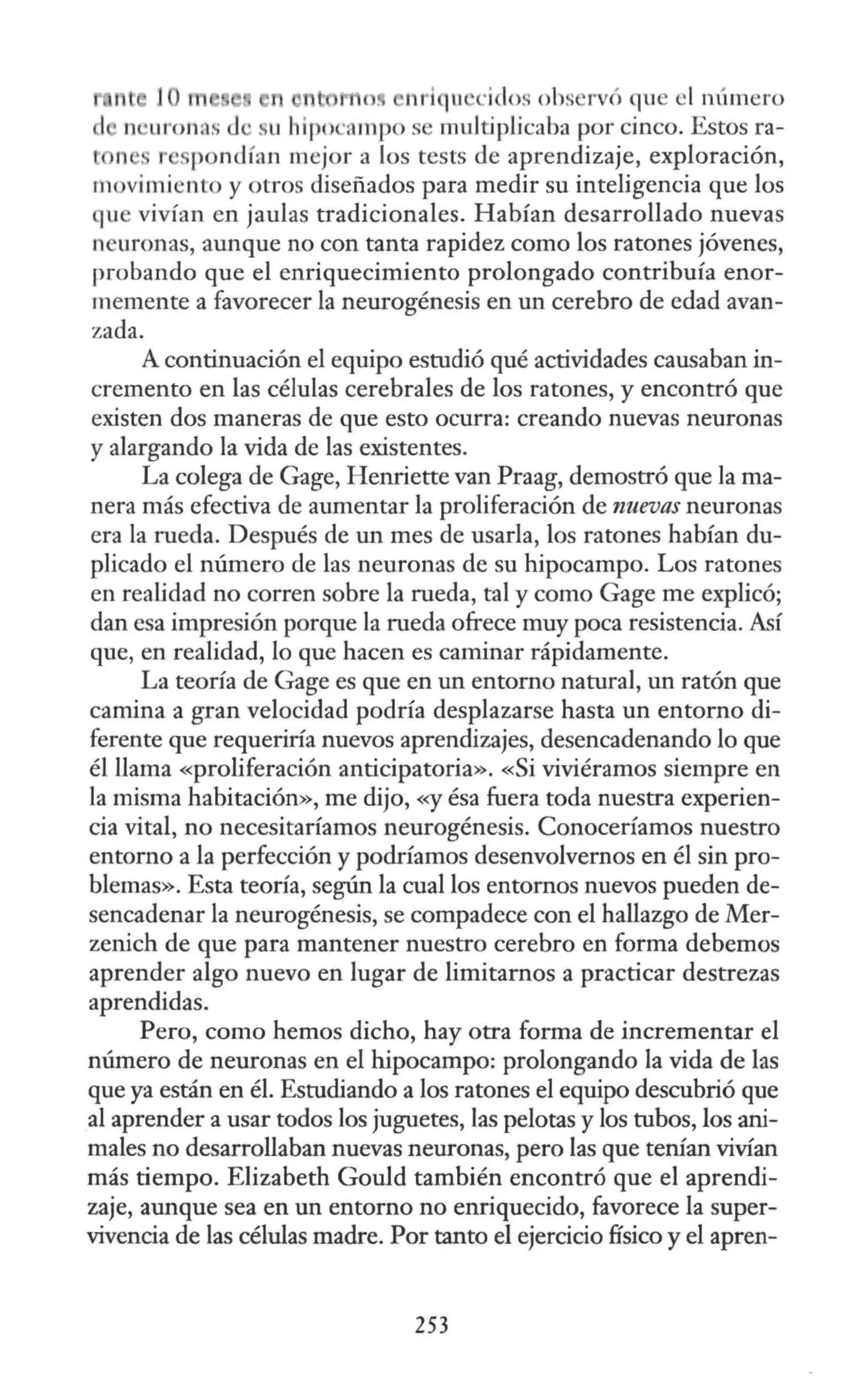 e 'f1 e!I 11 iqu ·i los obs rvó que el número
1 n 'urotias <l ·. u hi¡ o ·ampo se multiplicaba por cinco. Estos ra-
L n r p n<lían mejor a los tests de aprendizaje, exploración,
movimiento y otros diseñados para medir su inteligencia que los
qu vivían en jaulas tradicionales. Habían desarrollado nuevas
n uronas, aunque no con tanta rapidez como los ratones jóvenes,
probando que el enriquecimiento prolongado contribuía enor-
memente a favorecer la neurogénesis en un cerebro de edad avan-
zada.
A continuación el equipo estudió qué actividades causaban in-
cremento en las células cerebrales de los ratones, y encontró que
existen dos maneras de que esto ocurra: creando nuevas neuronas
y alargando la vida de las existentes.
La colega de Gage, Henriette van Praag, demostró que la ma-
nera más efectiva de aumentar la proliferación de nuevas neuronas
era la rueda. Después de un mes de usarla, los ratones habían du-
plicado el número de las neuronas de su hipocampo. Los ratones
en realidad no corren sobre la rueda, tal y como Gage me explicó;
dan esa impresión porque la rueda ofrece muy poca resistencia. A'ií
que, en realidad, lo que hacen es caminar rápidamente.
La teoría de Gage es que en un entorno natural, un ratón que
camina a gran velocidad podría desplazarse hasta un entorno di-
ferente que requeriría nuevos aprendizajes, desencadenando lo que
él llama «proliferación anticipatoria». «Si viviéramos siempre en
la misma habitación», me dijo, «y ésa fuera toda nuestra experien-
cia vital, no necesitaríamos neurogénesis. Conoceríamos nuestro
entorno a la perfección y podríamos desenvolvernos en él sin pro-
blemas». Esta teoría, según la cual los entornos nuevos pueden de-
sencadenar la neurogénesis, se compadece con el hallazgo de Mer-
zenich de que para mantener nuestro cerebro en forma debemos
aprender algo nuevo en lugar de limitarnos a practicar destrezas
aprendidas.
Pero, como hemos dicho, hay otra forma de incrementar el
número de neuronas en el hipocampo: prolongando la vida de las
que ya están en él. Estudiando a los ratones el equipo descubrió que
al aprender a usar todos los juguetes, las pelotas y los tubos, los ani-
males no desarrollaban nuevas neuronas, pero las que tenían vivían
más tiempo. Elizabeth Gould también encontró que el aprendi-
zaje, aunque sea en un entorno no enriquecido, favorece la super-
vivencia de las células madre. Por tanto el ejercicio físico y el apren-
253
 