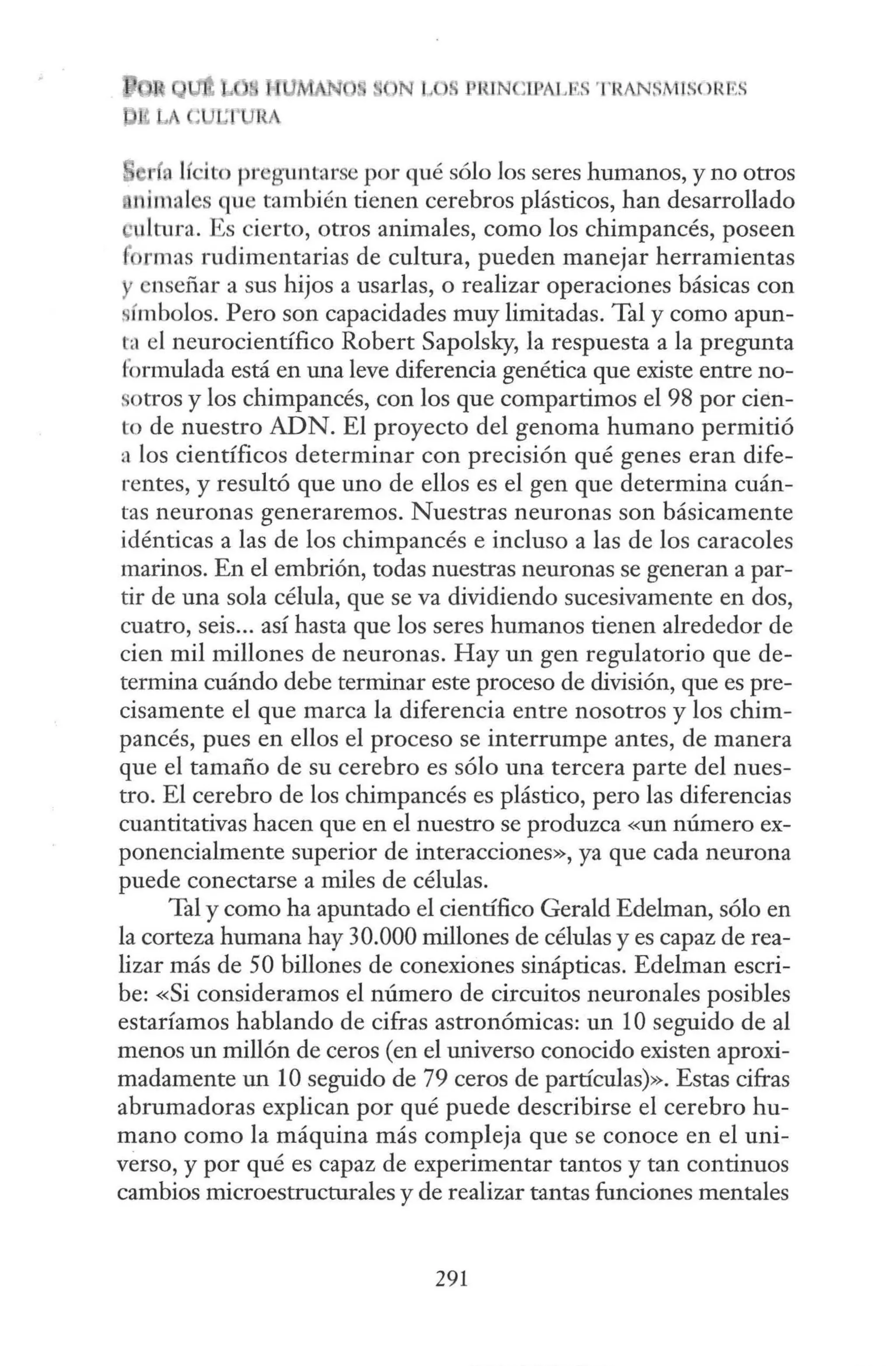 ' N L
. .. J:ll IN :T
PALES TRANSMJSotrns
·era lícito preguntarse por qué sólo los seres humanos, y no otros
nimales que también tienen cerebros plásticos, han desarrollado
•tdtura. Es cierto, otros animales, como los chimpancés, poseen
rmas rudimentarias de cultura, pueden manejar herramientas
cnsefiar a sus hijos a usarlas, o realizar operaciones básicas con
símbolos. Pero son capacidades muy limitadas. Tal y como apun-
ta el neurocientífico Robert Sapolsky, la respuesta a la pregunta
formulada está en una leve diferencia genética que existe entre no-
sotros y los chimpancés, con los que compartimos el 98 por cien-
to de nuestro ADN. El proyecto del genoma humano permitió
a los científicos determinar con precisión qué genes eran dife-
rentes, y resultó que uno de ellos es el gen que determina cuán-
tas neuronas generaremos. Nuestras neuronas son básicamente
idénticas a las de los chimpancés e incluso a las de los caracoles
marinos. En el embrión, todas nuestras neuronas se generan a par-
tir de una sola célula, que se va dividiendo sucesivamente en dos,
cuatro, seis... así hasta que los seres humanos tienen alrededor de
cien mil millones de neuronas. Hay un gen regulatorio que de-
termina cuándo debe terminar este proceso de división, que es pre-
cisamente el que marca la diferencia entre nosotros y los chim-
pancés, pues en ellos el proceso se interrumpe antes, de manera
que el tamafio de su cerebro es sólo una tercera parte del nues-
tro. El cerebro de los chimpancés es plástico, pero las diferencias
cuantitativas hacen que en el nuestro se produzca «un número ex-
ponencialmente superior de interacciones», ya que cada neurona
puede conectarse a miles de células.
Tal y como ha apuntado el científico Gerald Edelman, sólo en
la corteza humana hay 30.000 millones de células y es capaz de rea-
lizar más de 50 billones de conexiones sinápticas. Edelman escri-
be: «Si consideramos el número de circuitos neuronales posibles
estaríamos hablando de cifras astronómicas: un 1Oseguido de al
menos un millón de ceros (en el universo conocido existen aproxi-
madamente un 10 seguido de 79 ceros de partículas)». Estas cifras
abrumadoras explican por qué puede describirse el cerebro hu-
mano como la máquina más compleja que se conoce en el uni-
verso, y por qué es capaz de experimentar tantos y tan continuos
cambios microestructurales y de realizar tantas funciones mentales
291
 