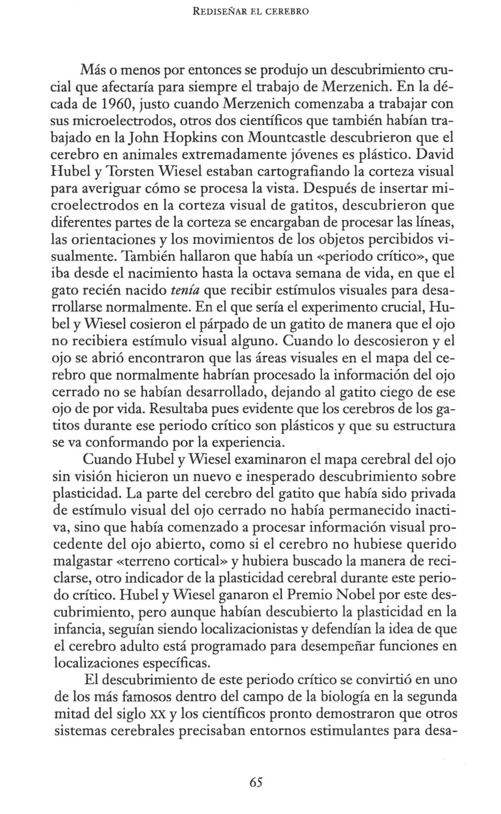REDISEÑAR EL CEREBRO
Más o menos por entonces se produjo un descubrimiento cru-
cial que afectaría para siempre el trabajo de Merzenich. En la dé-
cada de 1960, justo cuando Merzenich comenzaba a trabajar con
sus microelectrodos, otros dos científicos que también habían tra-
bajado en la John Hopkins con Mountcastle descubrieron que el
cerebro en animales extremadamente jóvenes es plástico. David
Hubel y Torsten Wiesel estaban cartografiando la corteza visual
para averiguar cómo se procesa la vista. Después de insertar mi-
croelectrodos en la corteza visual de gatitos, descubrieron que
diferentes partes de la corteza se encargaban de procesar las líneas,
las orientaciones y los movimientos de los objetos percibidos vi-
sualmente. También hallaron que había un «periodo crítico», que
iba desde el nacimiento hasta la octava semana de vida, en que el
gato recién nacido tenía que recibir estímulos visuales para desa-
rrollarse normalmente. En el que sería el experimento crucial, Hu-
bel y Wiesel cosieron el párpado de un gatito de manera que el ojo
no recibiera estímulo visual alguno. Cuando lo descosieron y el
ojo se abrió encontraron que las áreas visuales en el mapa del ce-
rebro que normalmente habrían procesado la información del ojo
cerrado no se habían desarrollado, dejando al gatito ciego de ese
ojo de por vida. Resultaba pues evidente que los cerebros de los ga-
titos durante ese periodo crítico son plásticos y que su estructura
se va conformando por la experiencia.
Cuando Hube! y Wiesel examinaron el mapa cerebral del ojo
sin visión hicieron un nuevo e inesperado descubrimiento sobre
plasticidad. La parte del cerebro del gatito que había sido privada
de estímulo visual del ojo cerrado no había permanecido inacti-
va, sino que había comenzado a procesar información visual pro-
cedente del ojo abierto, como si el cerebro no hubiese querido
malgastar «terreno cortical» y hubiera buscado la manera de reci-
clarse, otro indicador de la plasticidad cerebral durante este perio-
do crítico. Hube! y Wiesel ganaron el Premio Nobel por este des-
cubrimiento, pero aunque habían descubierto la plasticidad en la
infancia, seguían siendo localizacionistas y defendían la idea de que
el cerebro adulto está programado para desempeñar funciones en
localizaciones específicas.
El descubrimiento de este periodo crítico se convirtió en uno
de los más famosos dentro del campo de la biología en la segunda
mitad del siglo XX y los científicos pronto demostraron que otros
sistemas cerebrales precisaban entornos estimulantes para desa-
65
 