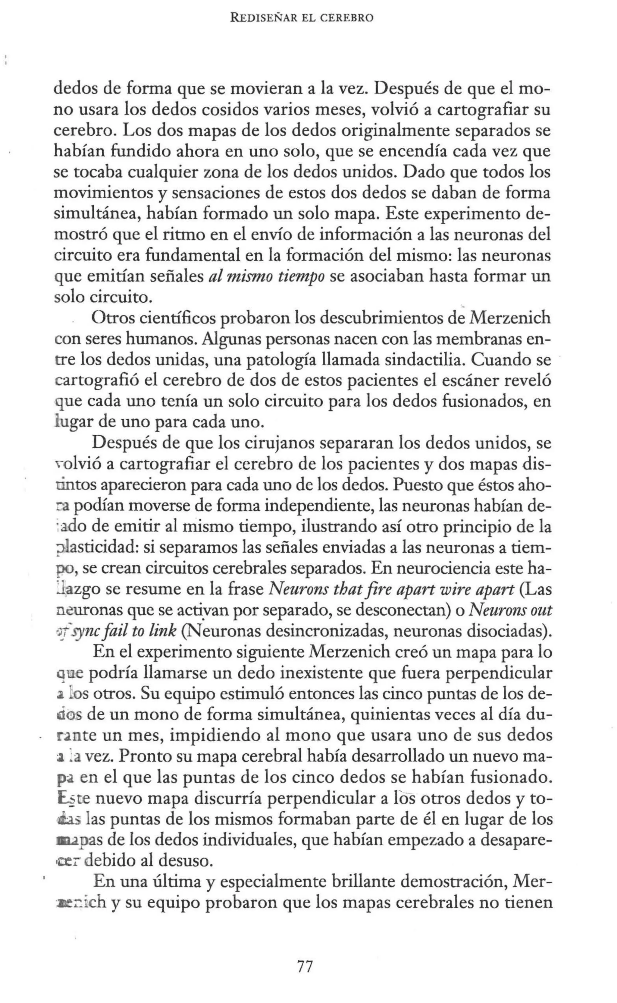 REDISEÑAR EL CEREBRO
dedos de forma que se movieran a la vez. Después de que el mo-
no usara los dedos cosidos varios meses, volvió a cartografiar su
cerebro. Los dos mapas de los dedos originalmente separados se
habían fundido ahora en uno solo, que se encendía cada vez que
se tocaba cualquier zona de los dedos unidos. Dado que todos los
movimientos y sensaciones de estos dos dedos se daban de forma
simultánea, habían formado un solo mapa. Este experimento de-
mostró que el ritmo en el envío de información a las neuronas del
circuito era fundamental en la formación del mismo: las neuronas
que emitían señales al mismo tiempo se asociaban hasta formar un
solo circuito.
Otros científicos probaron los descubrimientos d~ Merzenich
con seres humanos. Algunas personas nacen con las membranas en-
tre los dedos unidas, una patología llamada sindactilia. Cuando se
cartografió el cerebro de dos de estos pacientes el escáner reveló
t¡ue cada uno tenía un solo circuito para los dedos fusionados, en
lugar de uno para cada uno.
Después de que los cirujanos separaran los dedos unidos, se
>olvió a cartografiar el cerebro de los pacientes y dos mapas dis-
tintos aparecieron para cada uno de los dedos. Puesto que éstos aho-
:a podían moverse de forma independiente, las neuronas habían de-
;ado de emitir al mismo tiempo, ilustrando así otro principio de la
;tlasticidad: si separamos las señales enviadas a las neuronas a tiem-
po, se crean circuitos cerebrales separados. En neurociencia este ha-
Jazgo se resume en la frase Neurons thatfire apart wire apart (Las
neuronas que se actiyan por separado, se desconectan) o Neurons out
~'syncfail to link (Neuronas desincronizadas, neuronas disociadas).
En el experimento siguiente Merzenich creó un mapa para lo
que podría llamarse un dedo inexistente que fuera perpendicular
a os otros. Su equipo estimuló entonces las cinco puntas de los de-
ries de un mono de forma simultánea, quinientas veces al día du-
rinte un mes, impidiendo al mono que usara uno de sus dedos
a la vez. Pronto su mapa cerebral había desarrollado un nuevo ma-
p<1 en el que las puntas de los cinco dedos se habían fusionado.
E..§re nuevo mapa discurría perpendicular a fos otros dedos y to-
eas las puntas de los mismos formaban parte de él en lugar de los
.upas de los dedos individuales, que habían empezado a desapare-
'a:¡- debido al desuso.
En una última y especialmente brillante demostración, Mer-
:R~ich y su equipo probaron que los mapas cerebrales no tienen
77
 