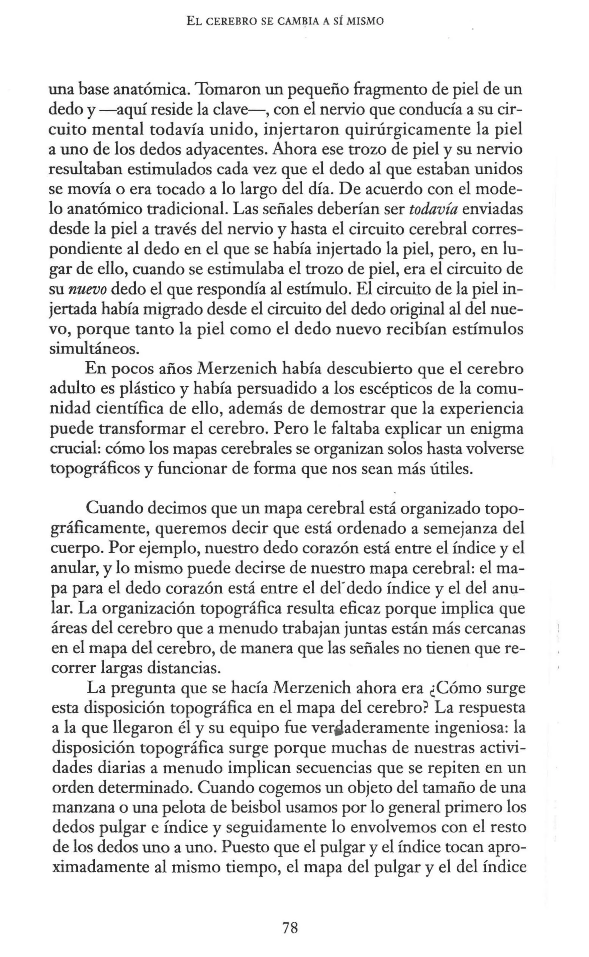 EL CEREBRO SE CAMBIA A SÍ MISMO
una base anatómica. Tornaron un pequeño fragmento de piel de un
dedo y-aquí reside la clave-, con el nervio que conducía a su cir-
cuito mental todavía unido, injertaron quirúrgicarnente la piel
a uno de los dedos adyacentes. Ahora ese trozo de piel y su nervio
resultaban estimulados cada vez que el dedo al que estaban unidos
se movía o era tocado a lo largo del día. De acuerdo con el mode-
lo anatómico tradicional. Las señales deberían ser todavía enviadas
desde la piel a través del nervio y hasta el circuito cerebral corres-
pondiente al dedo en el que se había injertado la piel, pero, en lu-
gar de ello, cuando se estimulaba el trozo de piel, era el circuito de
su nuevo dedo el que respondía al estímulo. El circuito de la piel in-
jertada había migrado desde el circuito del dedo original al del nue-
vo, porque tanto la piel corno el dedo nuevo recibían estímulos
simultáneos.
En pocos años Merzenich había descubierto que el cerebro
adulto es plástico y había persuadido a los escépticos de la comu-
nidad científica de ello, además de demostrar que la experiencia
puede transformar el cerebro. Pero le faltaba explicar un enigma
crucial: cómo los mapas cerebrales se organizan solos hasta volverse
topográficos y funcionar de forma que nos sean más útiles.
Cuando decirnos que un mapa cerebral está organizado topo-
gráficamente, queremos decir que está ordenado a semejanza del
cuerpo. Por ejemplo, nuestro dedo corazón está entre el índice y el
anular, y lo mismo puede decirse de nuestro mapa cerebral: el ma-
pa para el dedo corazón está entre el derdedo índice y el del anu-
lar. La organización topográfica resulta eficaz porque implica que
áreas del cerebro que a menudo trabajan juntas están más cercanas
en el mapa del cerebro, de manera que las señales no tienen que re-
correr largas distancias.
La pregunta que se hacía Merzenich ahora era ¿Cómo surge
esta disposición topográfica en el mapa del cerebro? La respuesta
a la que llegaron él y su equipo fue vertladeramente ingeniosa: la
disposición topográfica surge porque muchas de nuestras activi-
dades diarias a menudo implican secuencias que se repiten en un
orden determinado. Cuando cogemos un objeto del tamaño de una
manzana o una pelota de beisbol usamos por lo general primero los
dedos pulgar e índice y seguidamente lo envolvemos con el resto
de los dedos uno a uno. Puesto que el pulgar y el índice tocan apro-
ximadamente al mismo tiempo, el mapa del pulgar y el del índice
78
 