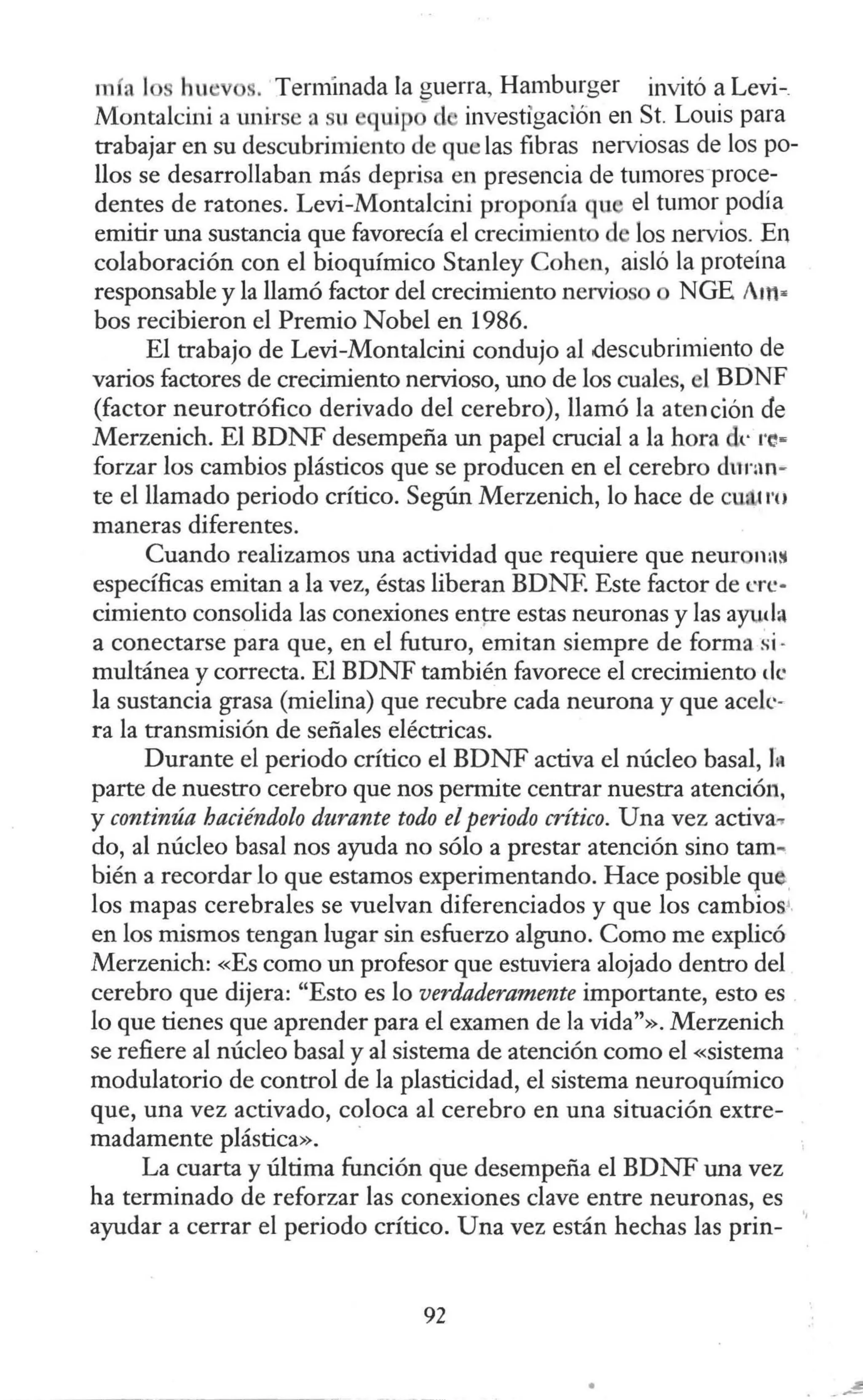 mía 1 hu .. Ternúnada la guerra, Hamburger invitó a Levi-_
Montalcini a unirse a su quipo d investigación en St. Louis para
trabajar en su descubrimiento de que las fibras nerviosas de los po-
llos se desarrollaban más deprisa en presencia de tumores proce-
dentes de ratones. Levi-Montalcini proponía qu el tumor podía
emitir una sustancia que favorecía el crecimiento d los nervios. En
colaboración con el bioquímico Stanley Cohen, aisló la proteína
responsable y la llamó factor del crecimiento nervioso NGE Atn..
bos recibieron el Premio Nobel en 1986.
El trabajo de Levi-Montalcini condujo al descubrimiento de
varios factores de crecimiento nervioso, uno de los cuales, el BDNF
(factor neurotrófico derivado del cerebro), llamó la atención de
Merzenich. El BDNF desempeña un papel crucial a la hora de res
forzar los cambios plásticos que se producen en el cerebro duran-
te el llamado periodo crítico. Según Merzenich, lo hace de cu:lt ro
maneras diferentes.
Cuando realizamos una actividad que requiere que neurona~
específicas emitan a la vez, éstas liberan BDNF. Este factor de ere·
cimiento consolida las conexiones en¡:re estas neuronas y las ayuda
a conectarse para que, en el futuro, emitan siempre de forma si-
multánea y correcta. El BDNF también favorece el crecimiento de
la sustancia grasa (mielina) que recubre cada neurona y que acek-
ra la transmisión de señales eléctricas.
Durante el periodo crítico el BDNF activa el núcleo basal, In
parte de nuestro cerebro que nos permite centrar nuestra atención,
y continúa haciéndolo durante todo el periodo crítico. Una vez activa-.
do, al núcleo basal nos ayuda no sólo a prestar atención sino tam-
bién a recordar lo que estamos experimentando. Hace posible que.,
los mapas cerebrales se vuelvan diferenciados y que los cambios'.
en los mismos tengan lugar sin esfuerzo alguno. Como me explicó
Merzenich: «Es como un profesor que estuviera alojado dentro del
cerebro que dijera: "Esto es lo verdaderamente importante, esto es
lo que tienes que aprender para el examen de la vida"». Merzenich
se refiere al núcleo basal y al sistema de atención como el «sistema
modulatorio de control de la plasticidad, el sistema neuroquímico
que, una vez activado, coloca al cerebro en una situación extre-
madamente plástica». ·
La cuarta y última función tjue desempeña el BDNF una vez
ha terminado de reforzar las conexiones clave entre neuronas, es
ayudar a cerrar el periodo crítico. Una vez están hechas las prin-
92
 