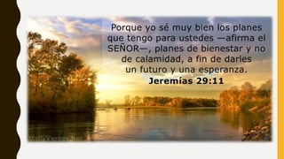 El cerebro y la gratitud como mejora la calidad de vida.pptx
