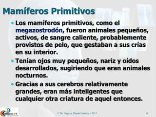 Mamíferos Primitivos
 Los mamíferos primitivos, como el
megazostrodón, fueron animales pequeños,
activos, de sangre caliente, probablemente
provistos de pelo, que gestaban a sus crías
en su interior.
 Tenían ojos muy pequeños, nariz y oídos
desarrollados, sugiriendo que eran animales
nocturnos.
 Gracias a sus cerebros relativamente
grandes, eran más inteligentes que
cualquier otra criatura de aquel entonces.
© Dr. Hugo A. Banda Gamboa - 2015 16
 