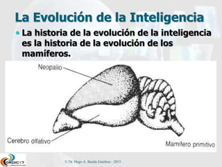 La Evolución de la Inteligencia
 La historia de la evolución de la inteligencia
es la historia de la evolución de los
mamíferos.
© Dr. Hugo A. Banda Gamboa - 2015
 