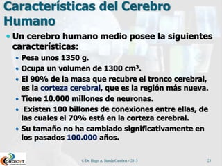 Características del Cerebro
Humano
 Un cerebro humano medio posee la siguientes
características:
 Pesa unos 1350 g.
 Ocupa un volumen de 1300 cm3.
 El 90% de la masa que recubre el tronco cerebral,
es la corteza cerebral, que es la región más nueva.
 Tiene 10.000 millones de neuronas.
 Existen 100 billones de conexiones entre ellas, de
las cuales el 70% está en la corteza cerebral.
 Su tamaño no ha cambiado significativamente en
los pasados 100.000 años.
© Dr. Hugo A. Banda Gamboa - 2015 23
 