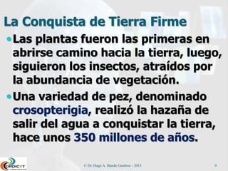 La Conquista de Tierra Firme
Las plantas fueron las primeras en
abrirse camino hacia la tierra, luego,
siguieron los insectos, atraídos por
la abundancia de vegetación.
Una variedad de pez, denominado
crosopterigia, realizó la hazaña de
salir del agua a conquistar la tierra,
hace unos 350 millones de años.
© Dr. Hugo A. Banda Gamboa - 2015 9
 